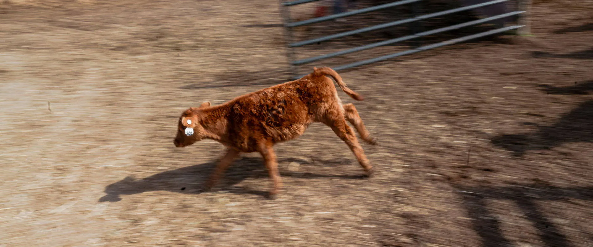 Authentic Style for the Modern Rancher